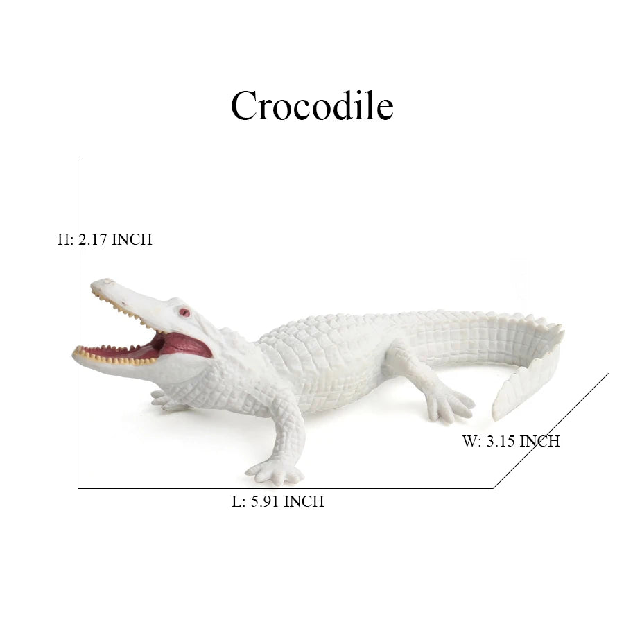 Sc272d051dd0a486c90be97ae3d7162e1j