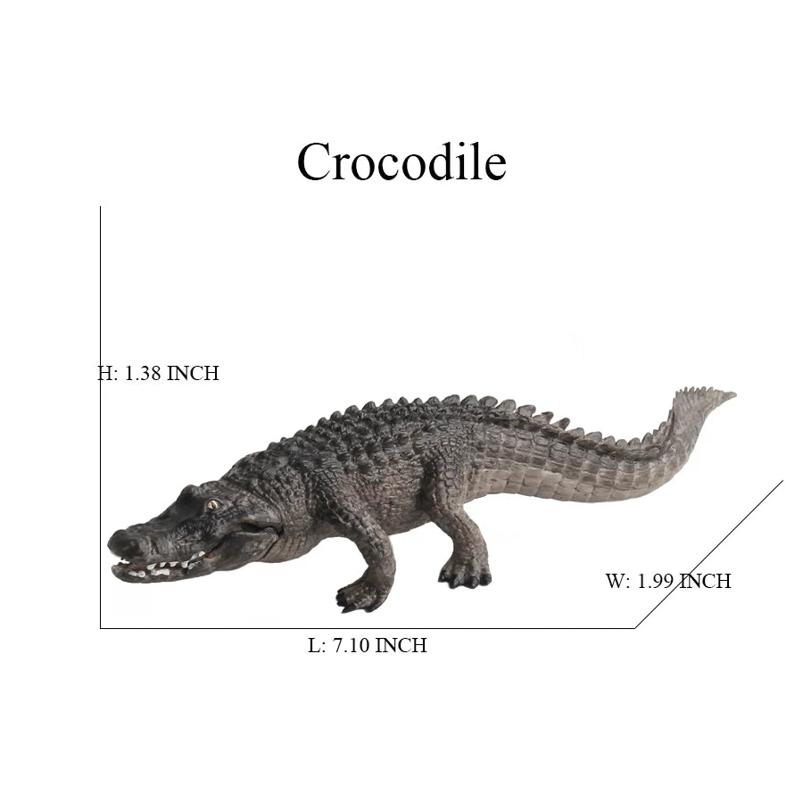 S3ecacc633f004a1694f5b91f922779e1r