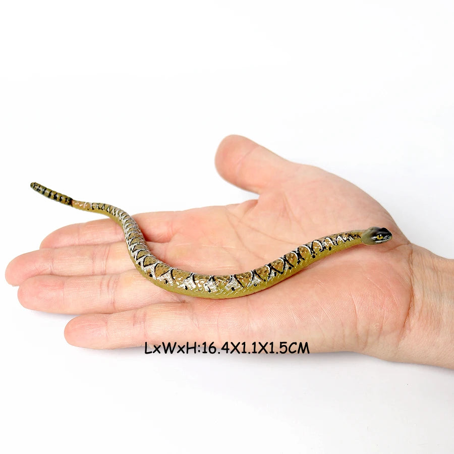 S4ca7194c55d4493c83010bf4f4a34f3bx