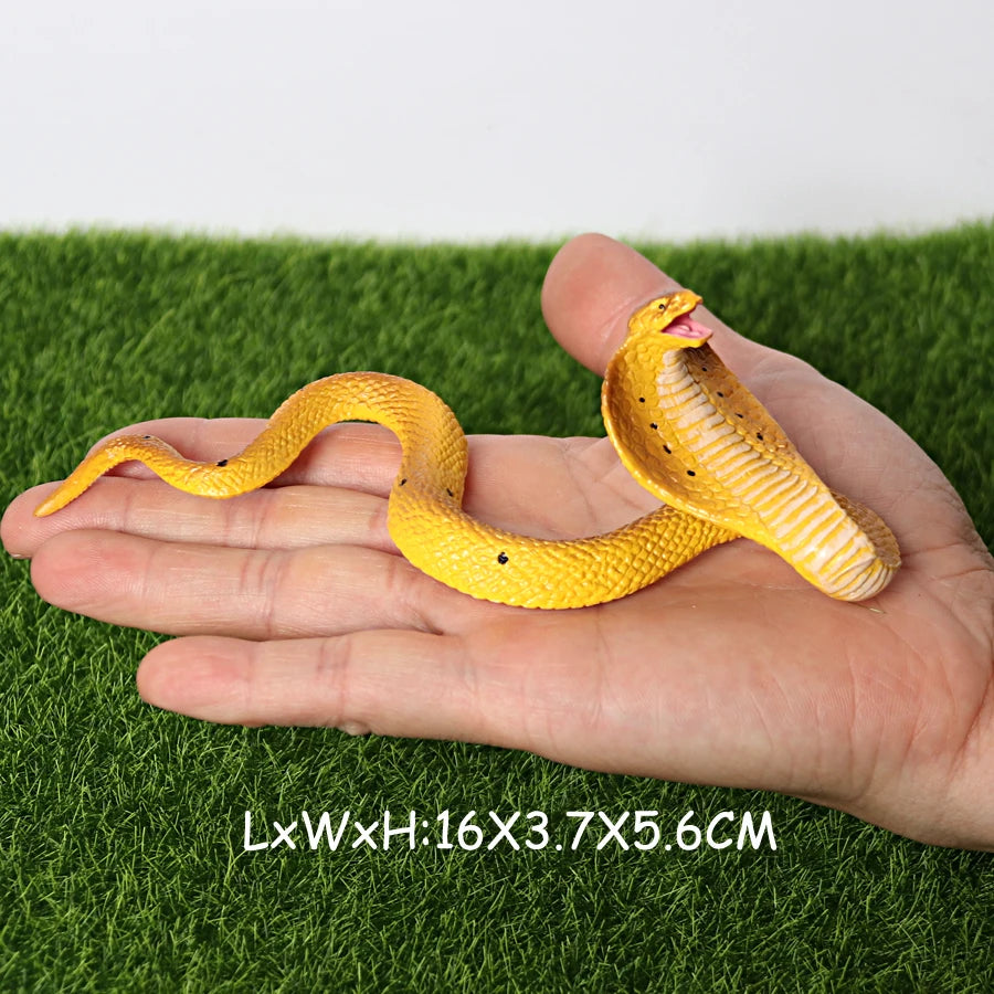 S4e2d2c78393a4c0c9694eec53d3dc58fl