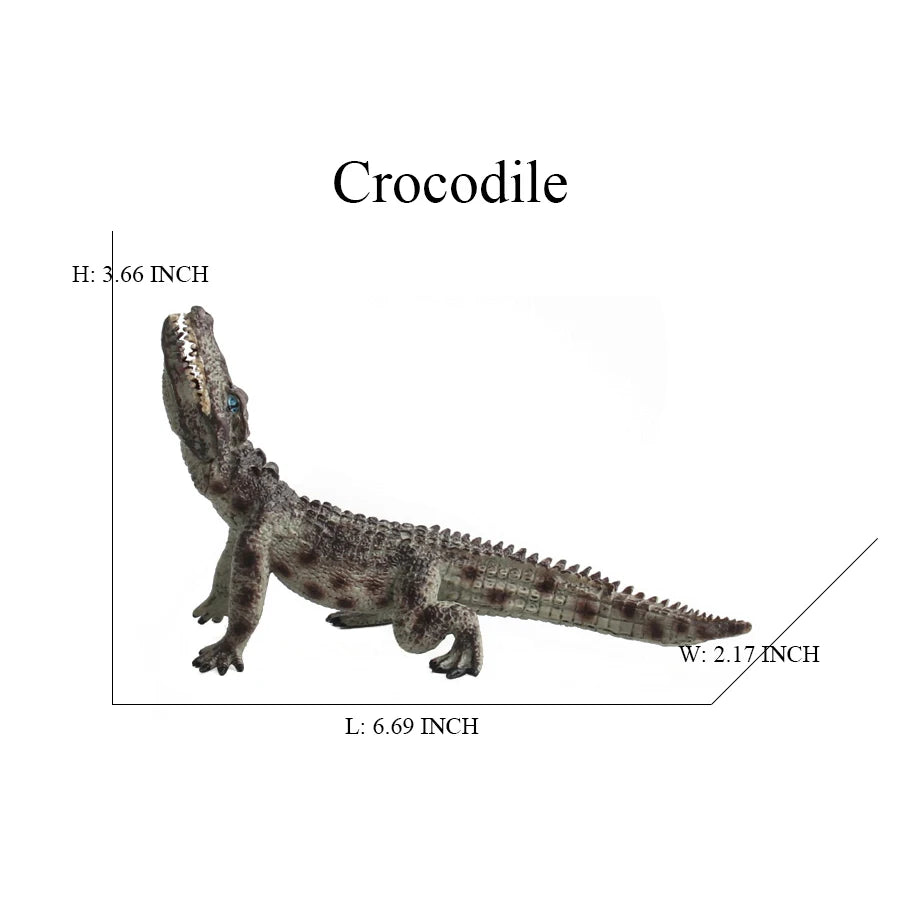 S4e90aa53db1e4e0a9644bdc98912795au