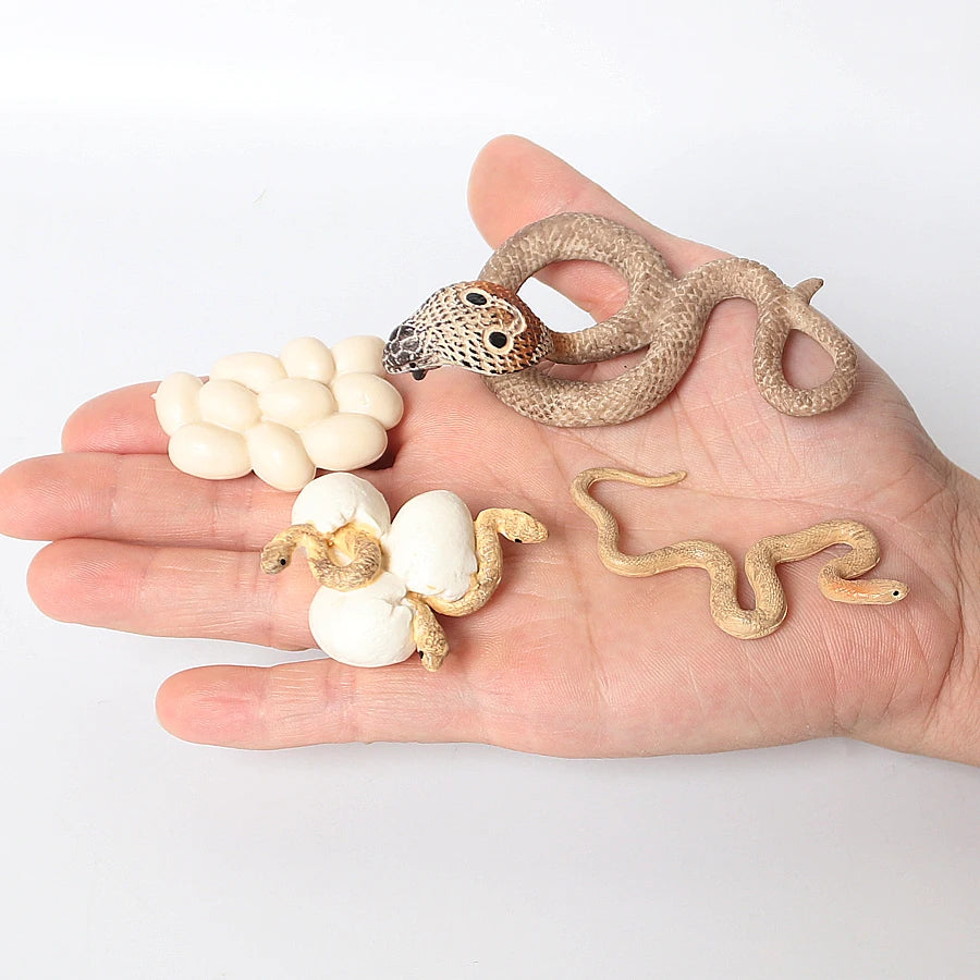 S6516228fd304436d9f6e0a5dbb251da9X