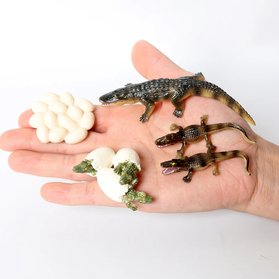 S84eab7a5a6bc497bb17424ae640bc049T