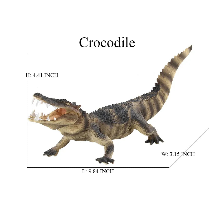 Sa8f4855eba564dbbab38a95c758407e1H