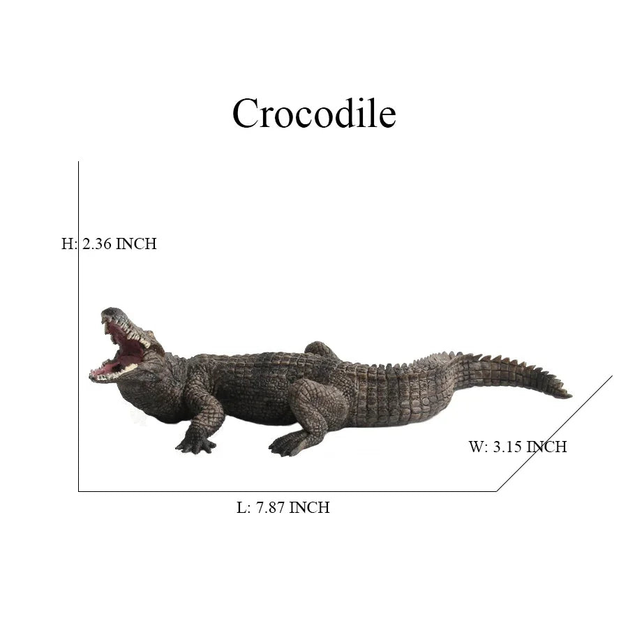 Sb6432fd01bf949238fd99b637e6f1d89U