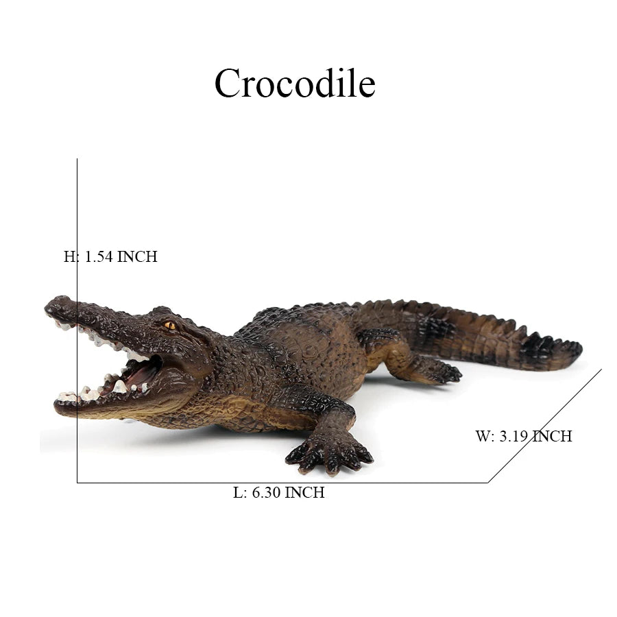 Sd86b429ef63a4099a7484285e295dd94A